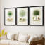Arbre antique avec fruit VII - reproduction encadrée sur mesure de qualité supérieure mate - 3 pièces-1062297126-1062297124