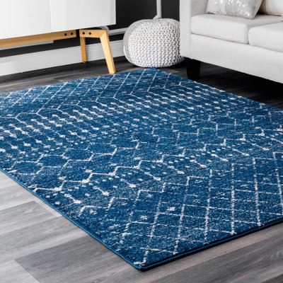 Tokarz Geometric Hand Woven Area Rug