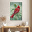 Brampt, cardinal de Virginie-108594508