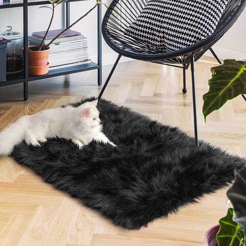 Ismene Solid Colour Shag Area Rug, Rectangle 60 x 90 cm, Black