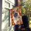 Chat en feuilles d'automne-112700509