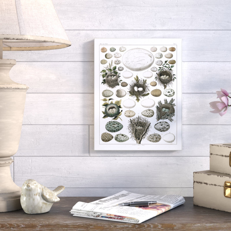 «Eggs And Nids» par Lettered and Lined - impression d'art textuel, H 19 po x l 13 po, Unframed