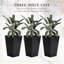 De 3 grands pots de fleurs d'extérieur avec drainage, pots de fleurs noirs pour terrasse, 13,92 po x 13,92 po x H 24 po,