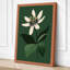 Passion Flower Study Botanical - Wrapped Canvas-1725763780-1725763789