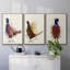Pheasant Splash 3 3 pièces-106064816-106064819
