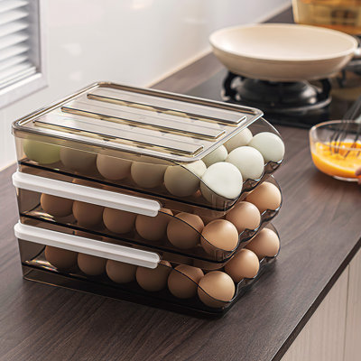 Support à œufs pour réfrigérateur Boîte de rangement pour œufs à double couche avec couvercle