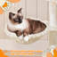 Arbre à chat Gilmour-1874089113