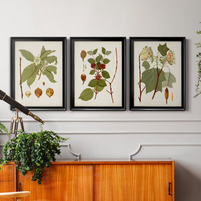 " Antique Leaves I " 3 - Pieces