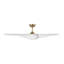 Ventilateur de plafond intérieur Terhune avec tige filetée, pales en ABS blanc mat et télécommande portable-638658854