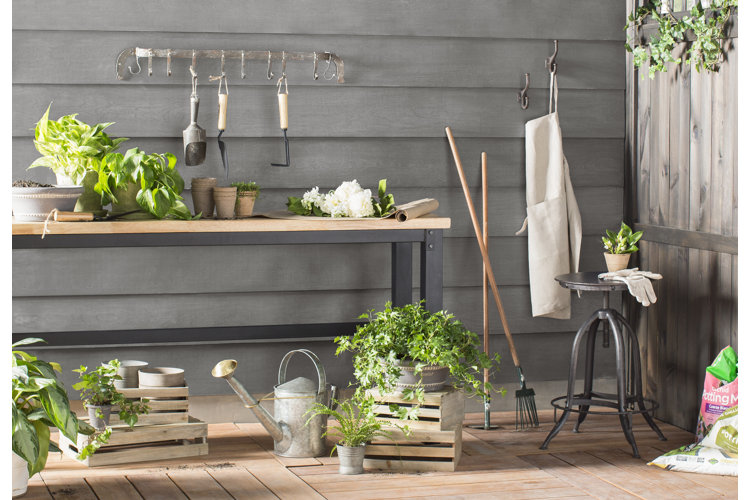 how to start a garden