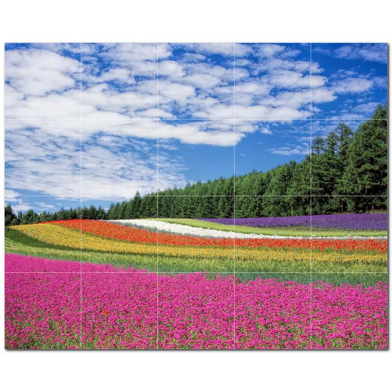 Fleurs photo 12 x 12