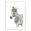 «Savannah Zebra», art encadré-47566040-47566035