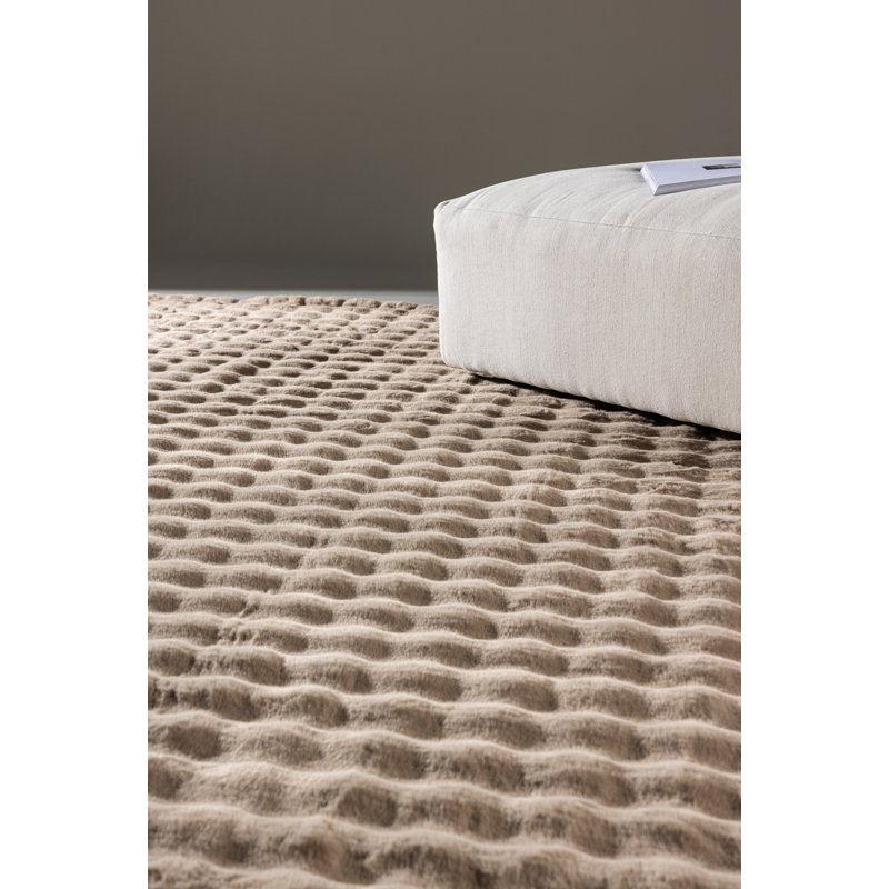 Antunes 160cm X 230cm Area Rug, Natural