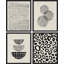 Ensemble de 4 reproductions de cadres photo Mid-Century-97762576-97762577
