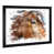 Framed Picture is unavailable