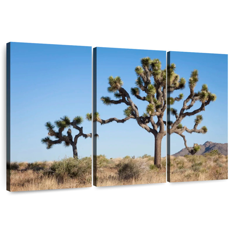 Harnek Joshua Tree National Park, 28" H x 45" W