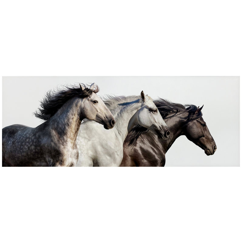 " Horse Trilogy 1 " Graphic Art Print