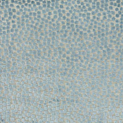 Thom Filicia Flurries Fabric