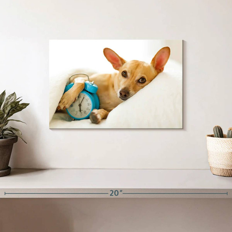 Brampt Dog Alarm, 8" H x 12" W
