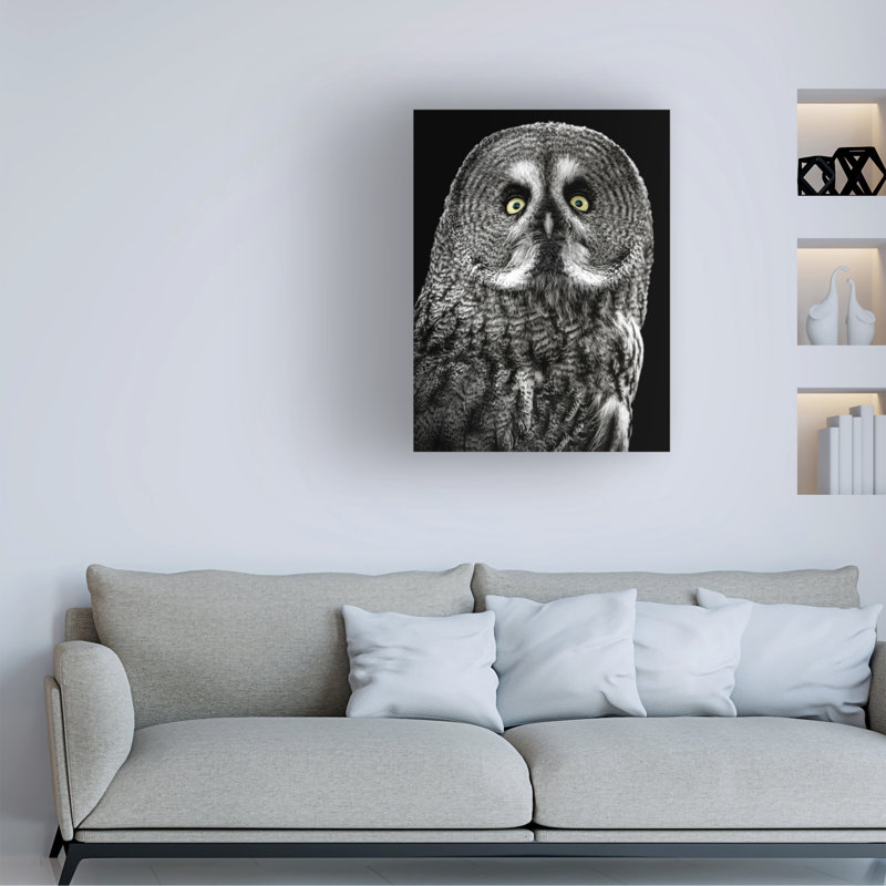 Art sur toile Lee Kershaw Owl Stare, H 19 po x l 14 po