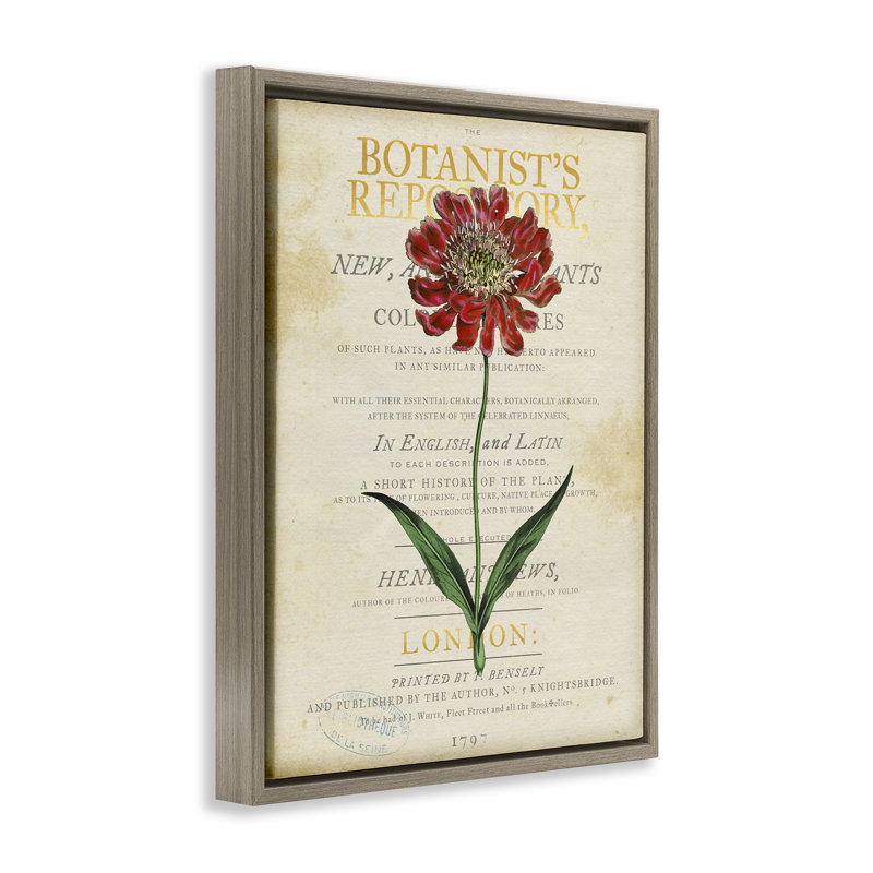 «Flower over Vintage Page», art mural par Susan Arnot, Cadre flottant orme Montalcino, H 21 po x l 17 po