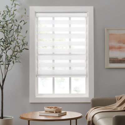 Semi Sheer Paper Roller Shade