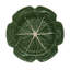 Set of 4 Cabbage Chargers-63962628