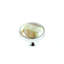 Mushroom Knob-1574932238