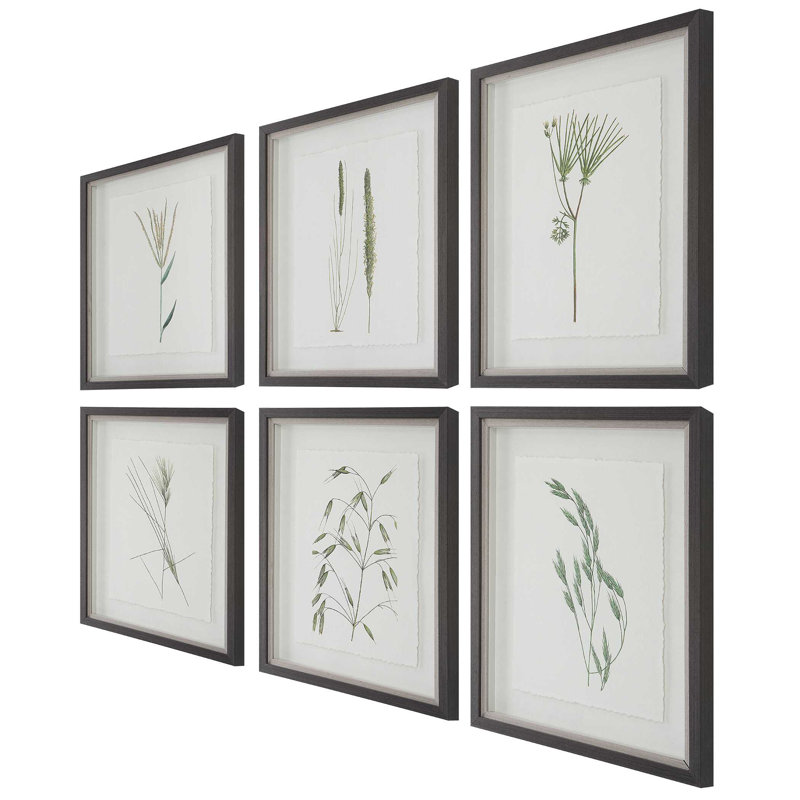  Forest Finds Framed Prints Set/6