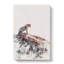 Leopard Upon The Rock - Wrapped Canvas-56642298