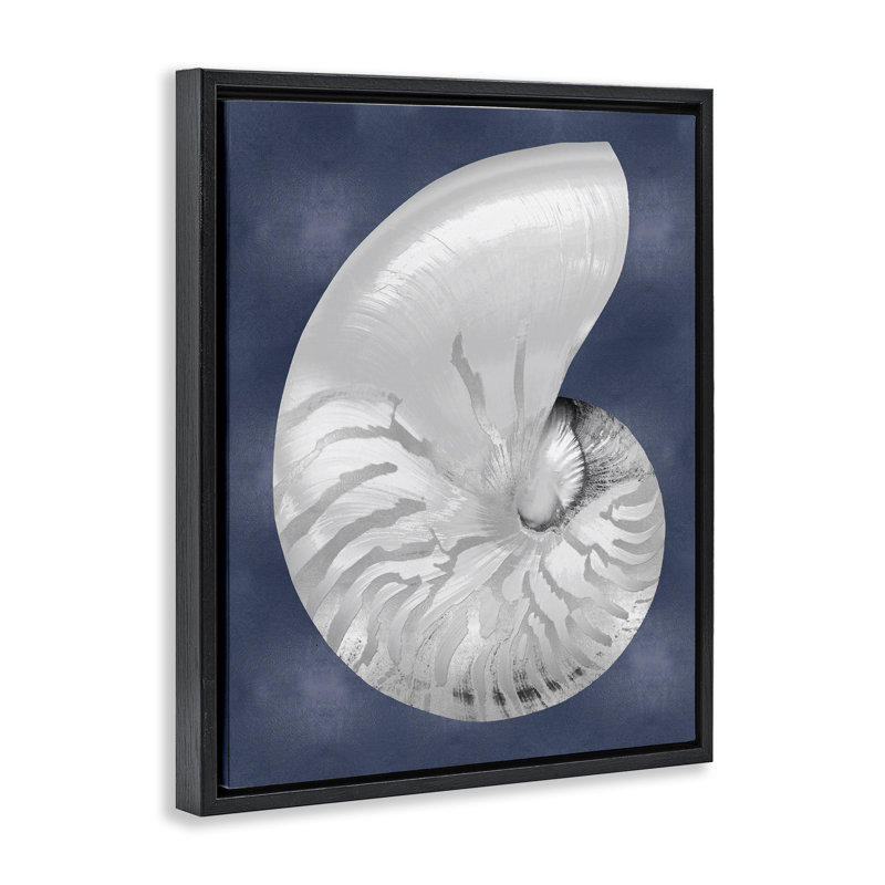 «Nautilus rayé sur toile flottante» par Caroline Kelly, Cadre flottant noir de jais, H 21 po x l 17 po