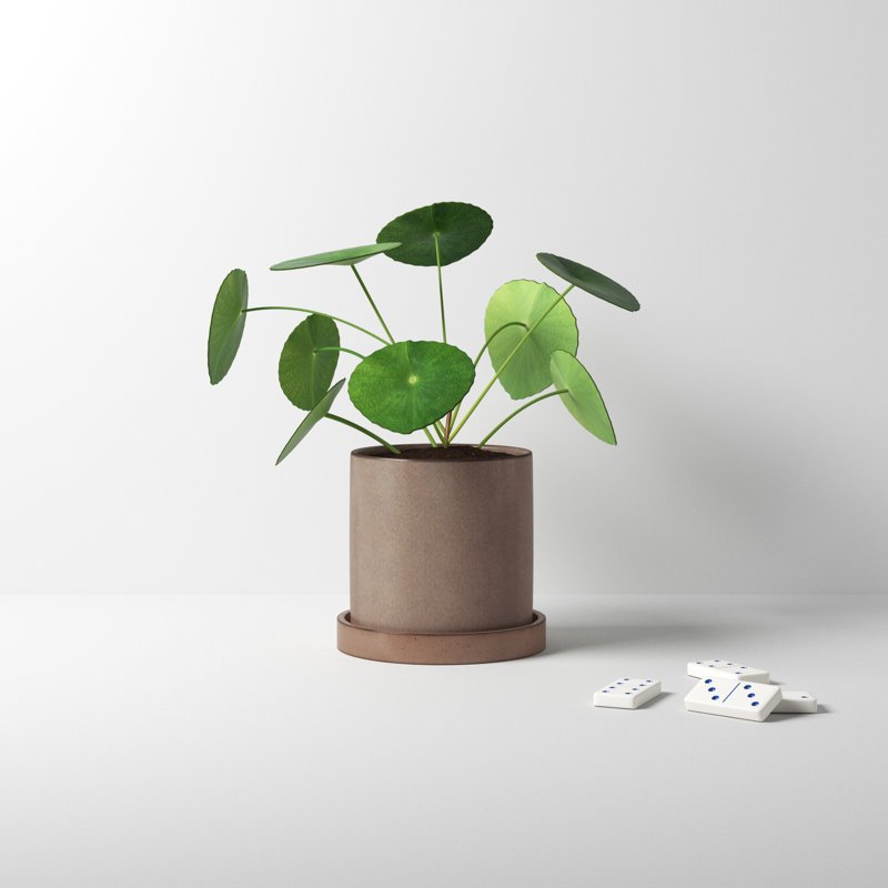 Tyron Ceramic Pot Planter, Tan, 5.5" H x 5" W x 5" D