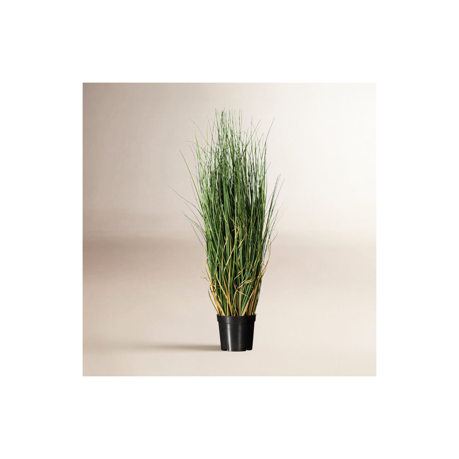 PVC Artificial Potted Green Curled Grass, 24" H x 12" W x 12" D