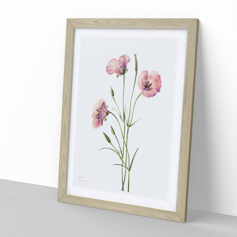 Lilac Mariposa by Mary Vaux Walcott - Picture Frame Painting, Oak Framed, 36cm H x 27cm W x 2cm D