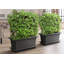 Self-Watering Planter, Flower Pot - Living Wall Kit-2062431649-2062431650