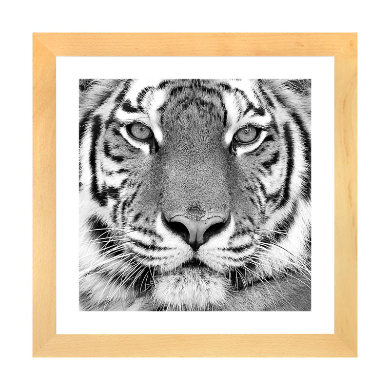 «Tiger» par PhotoINC Studio - impression d'art graphique, H 24 po x l 24 po x p 1 po, Papier encadré naturel