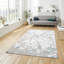 Apollo area rug Machine Woven Rectangle Grey-93557159
