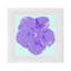 Serviettes de table en satin de coton Hibiscus-124988435