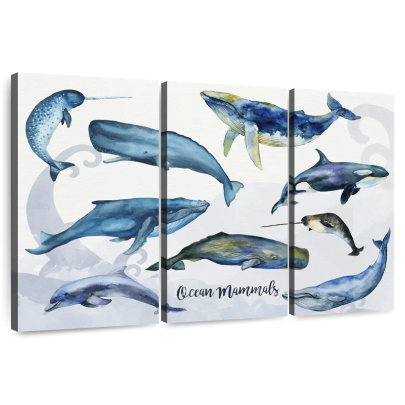 Brampt Ocean Mammals Chart, 36" H x 57" W