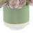 Sedum and Pampas Arranged in Ceramic Pot