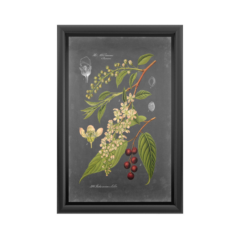 « Midnight Botanical II » par vision studio-impression d’art graphique encadrée