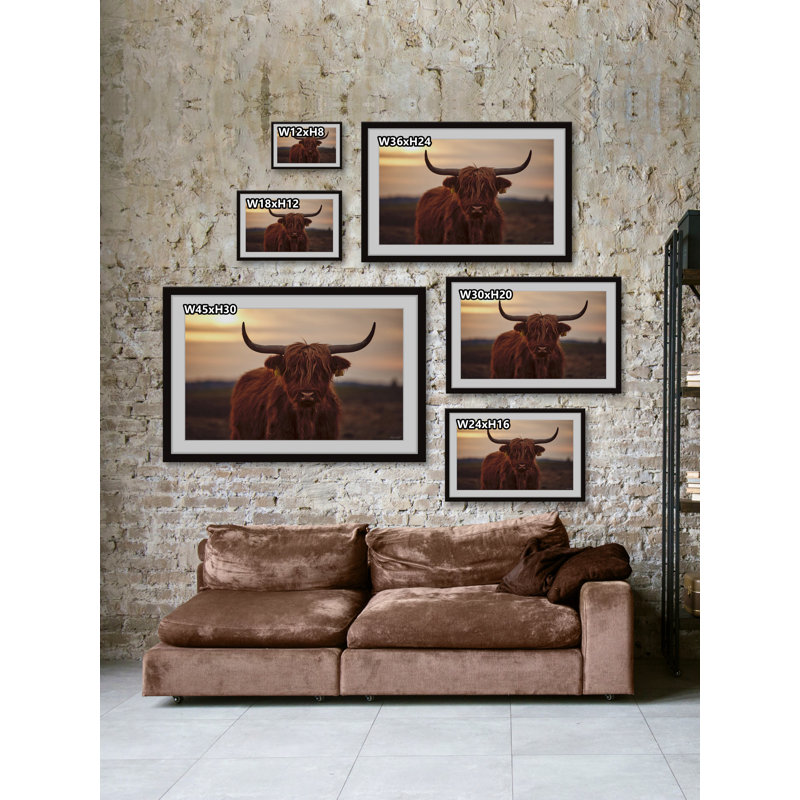 " Sunset and Cows " Color Photography Print, 36" W x 24" H, Black Closed Corner Framed Paper, White