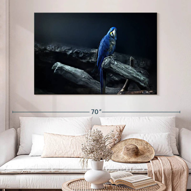 Brampt Hyacinth Macaw, 34" H x 51" W