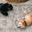 Tapis beige / gris ivoire Nel Paz-194998377