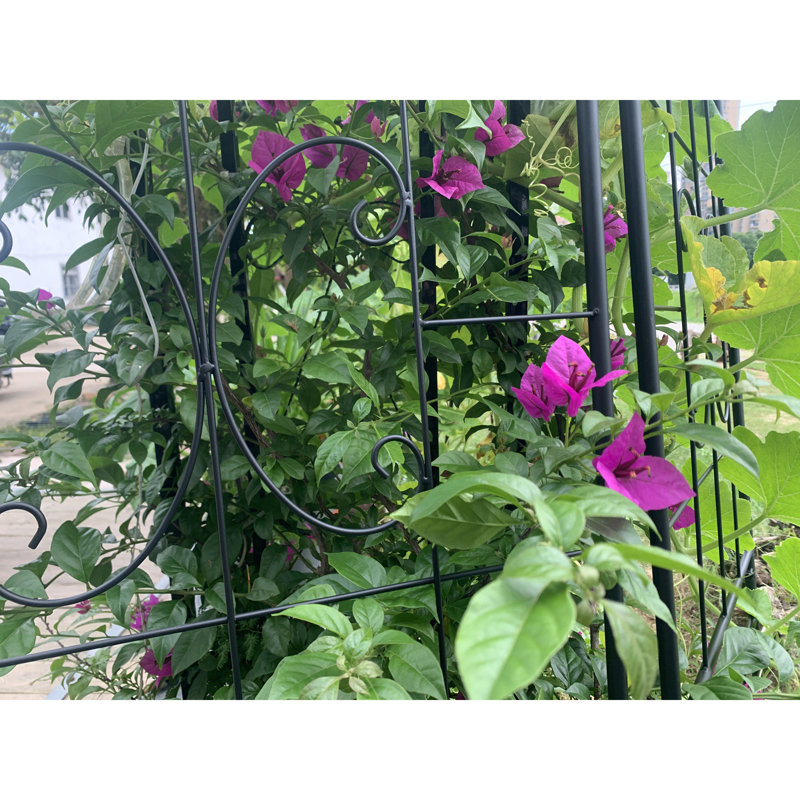 Treillis de jardin en métal