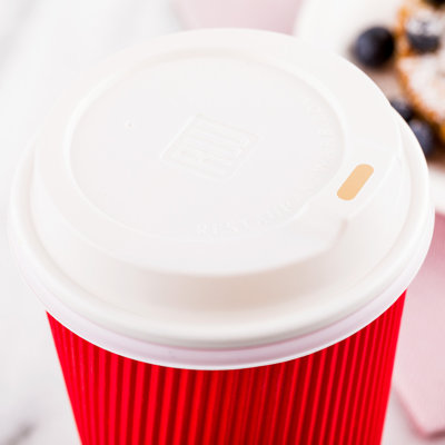 Straws & Drink Accessories