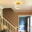 1-light 10-inch Semi-flush Mount Chandelier With Crystal Strip Shade