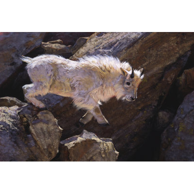 Rockhopper 1 Piece Wrapped Canvas Wall Art