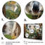 Aquarelle, arbre koala, observateur 2 - art mural koala-605937641-605937647