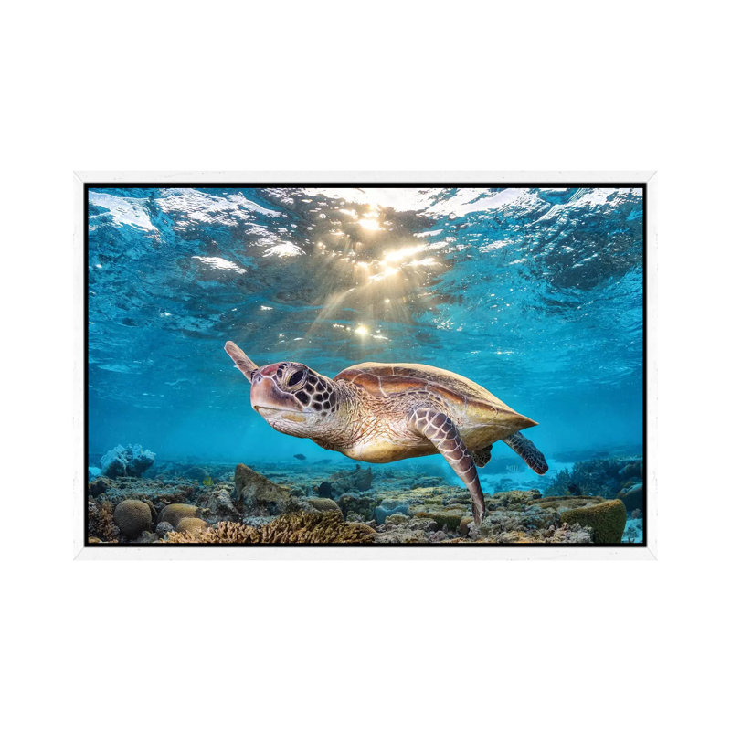 Swimming In The Golden Light by Jordan Robins - Print on Canvas, 66.04 cm H x 45.72 cm W, White Framed